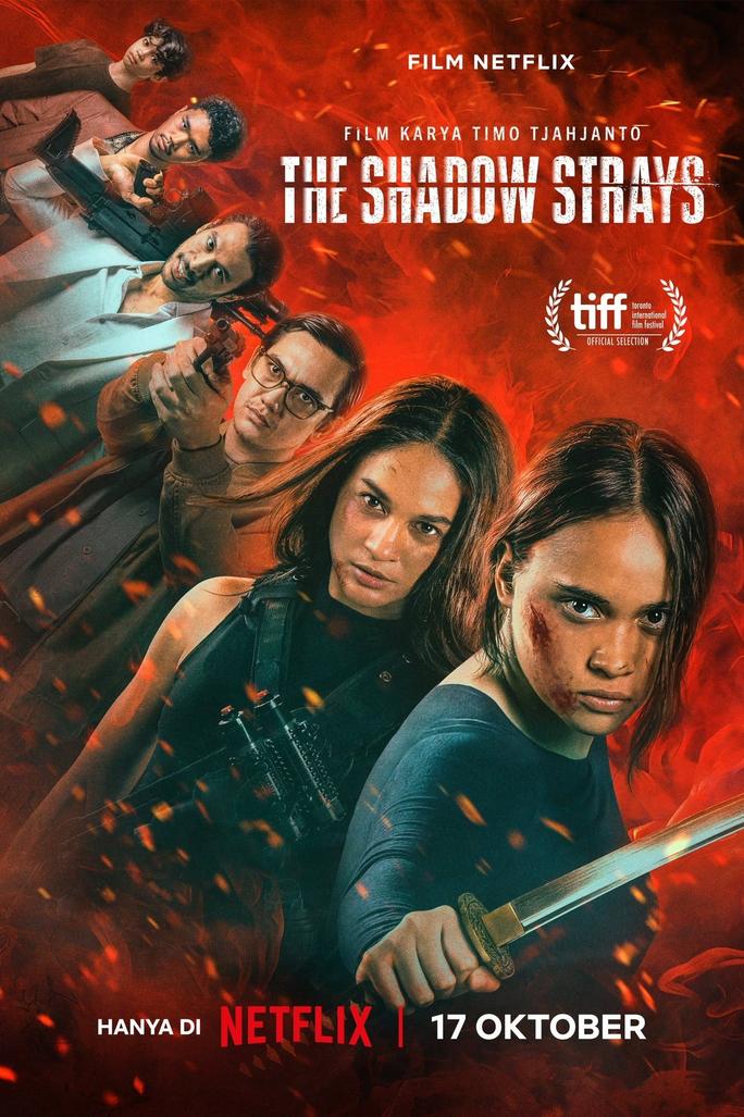 Sát Thủ Mật Danh 13 - The Shadow Strays (2024)