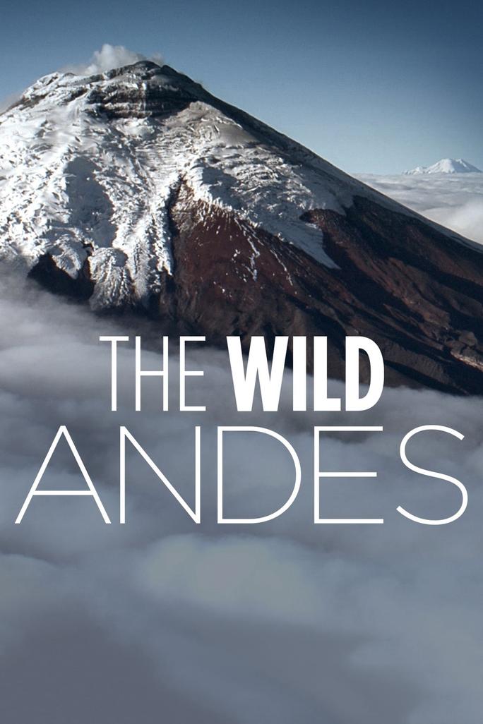 The Wild Andes - The Wild Andes (2018)