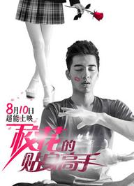 Cao Thủ Cận Vệ Của Hoa Khôi - Mr. Bodyguard (2015)