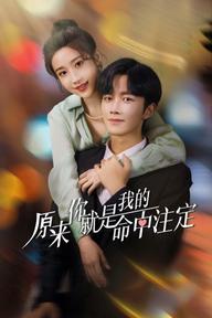 Hoá Ra Em Là Định Mệnh Đời Anh - You Are My Destiny (2024)