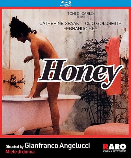 Khách Sạn Dục Vọng – Honey (1981)