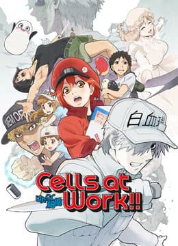 Khi Các Tế Bào Làm Việc (Phần 2) – Cells At Work! S2 (2021)