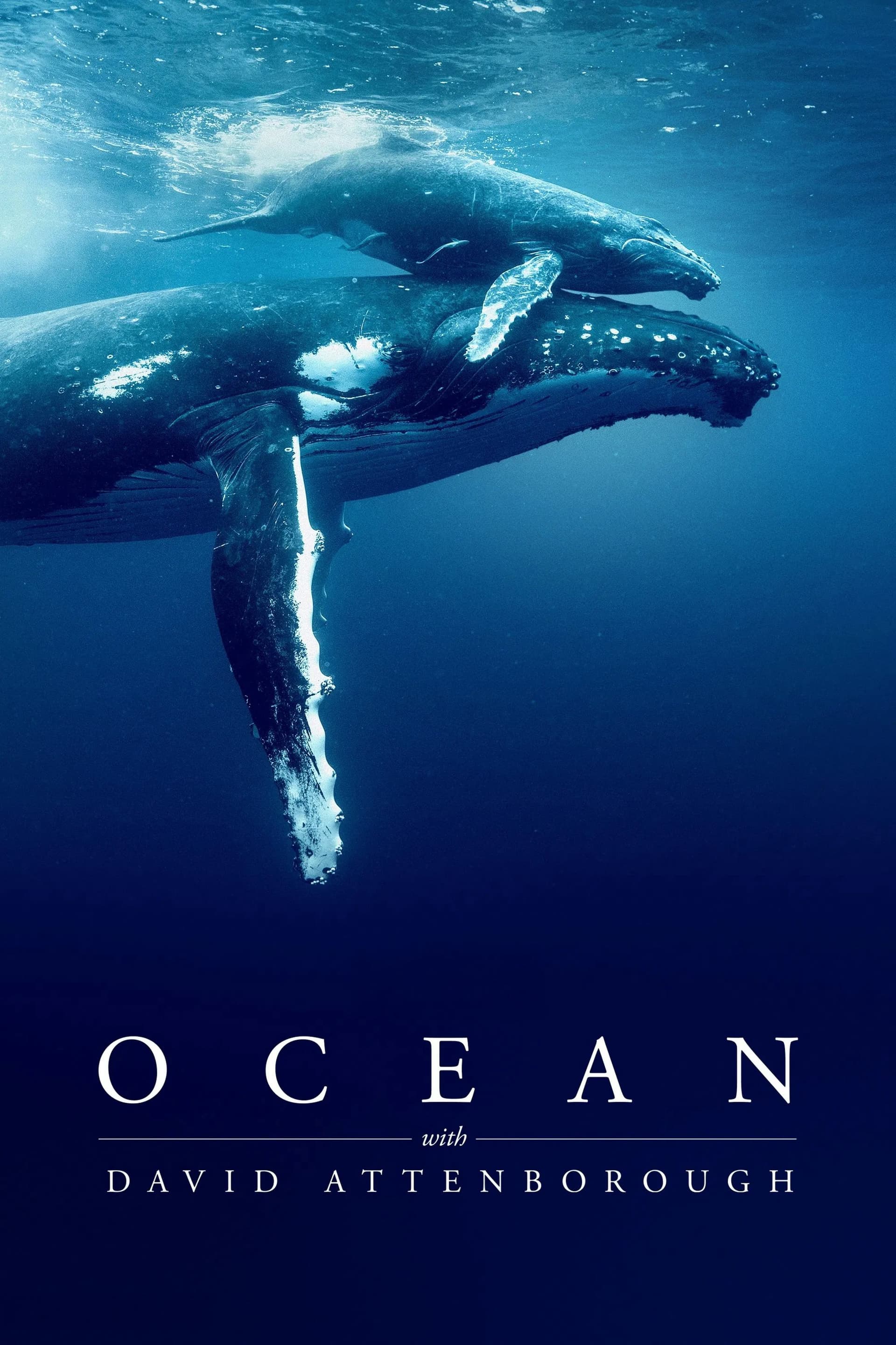 Ocean With David Attenborough – Ocean With David Attenborough (2025)