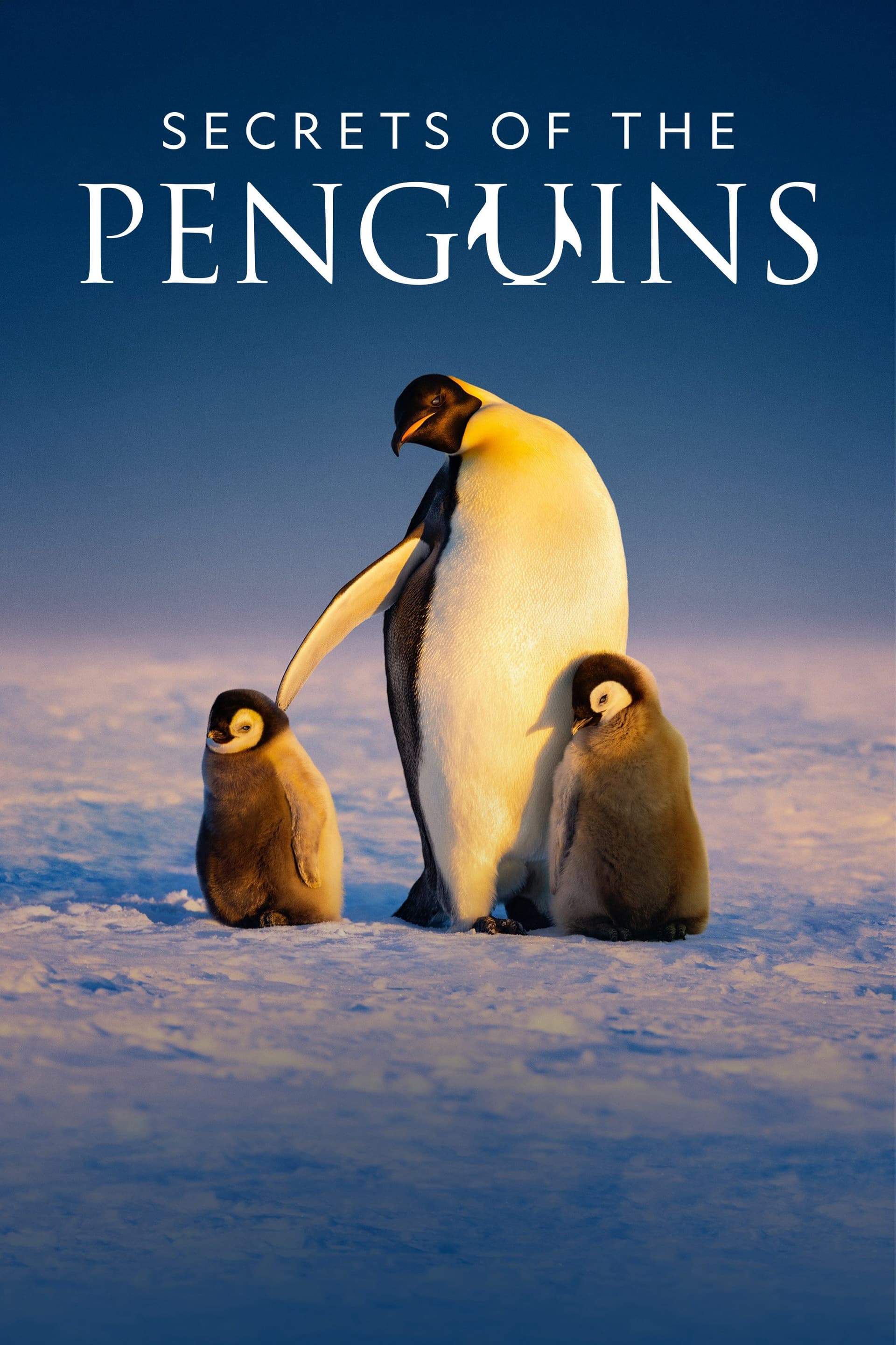 Secrets Of The Penguins – Secrets Of The Penguins (2025)