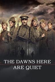 Và Nơi Đây Bình Minh Yên Tĩnh - The Dawns Here Are Quiet (2015)